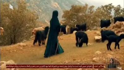 باز شدن پای دانشجویان جهادی دامپزشکی به میدان درمان دام‌های روستاییان + فیلم