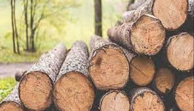 ۱۵ تن چوب جنگلی قاچاق در نوشهر کشف شد
