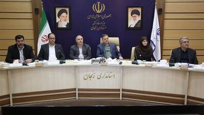 اصلاح زنجیره تامین گوشت قرمز در اولویت کارگروه تنظیم بازار زنجان است