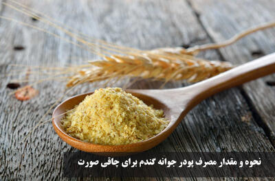 نحوه و مقدار مصرف پودر جوانه گندم برای چاقی صورت با شیر، ماست و آب
