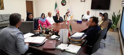 خاطیان هفته اول لیگ برتر تکواندو عذرخواهی کردند