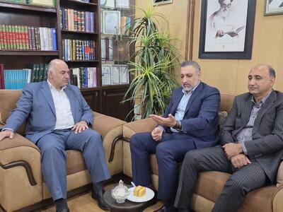 زیرساخت های ورزش کوهنوردی در بروجرد توسعه می یابد