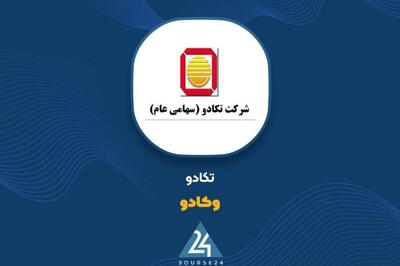 تغییرات پرتفوی «وکادو» در شهریور ماه