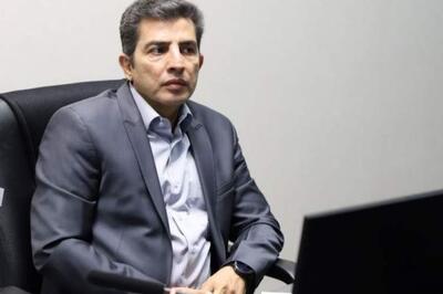 علی زارعی به عنوان مدیرعامل هلدینگ آینده پویا انتخاب شد