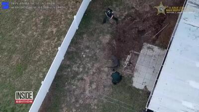 ببینید؛ پلیس با طناب تمساح غول پیکر را به دام انداخت