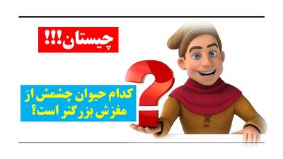 چیستان: کدام حیوان چشمش از مغزش بزرگتر است؟
