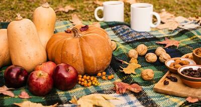 نشاط پاییزی با صبحانه‌ای سالم و دلپذیر