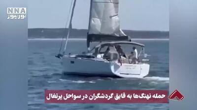 حمله نهنگ‌ها به قایق گردشگران در سواحل پرتغال