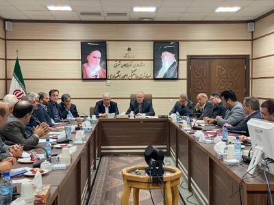 روحی: ظرفیت بخش خصوصی برای واردات نهاده‌های دامی فعال ‌شود
