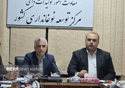 رضادوست: تولید ابریشم گیلان کاهش یافته است