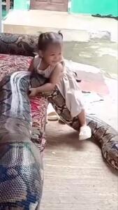 فیلم شجاعت کودک در برابر مار غول‌پیکر