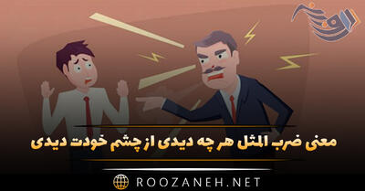 معنی ضرب المثل هر چه دیدی از چشم خودت دیدی