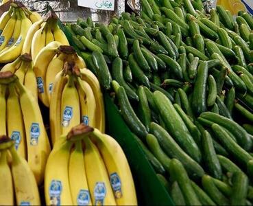 افزایش ۵۰ درصدی قیمت خیار و کاهو/ هر کیلو خیار ۱۳۵ هزار تومان شد! - سلام نو