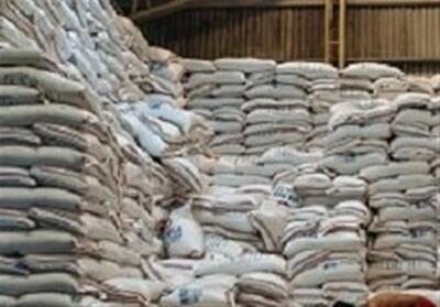 تعیین سقف قیمتی برای برنج وارداتی، غیر کارشناسی است - تسنیم