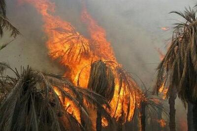 آتش‌سوزی گسترده در باغات رودان؛ خسارت حریق به ۶ هکتار باغ