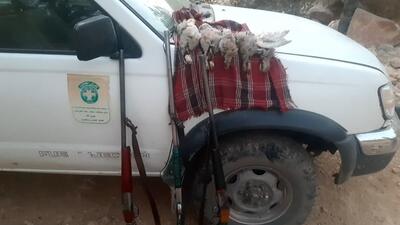 دستگیری ۳ شکارچی متخلف با لاشه ۵ کبک در فیروزآباد