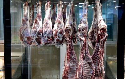 آژیر قرمز در بازار گوشت | چرا گوشت گران شد؟