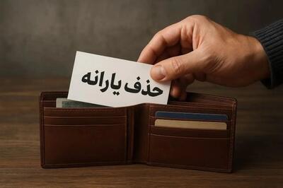 وزیر رفاه : قطع یارانه برای خانوارهای دارای معلول و بیماران خاص منتفی شد