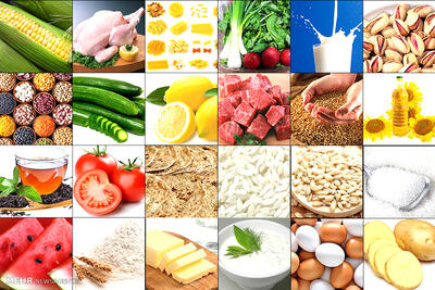 ابزار حمایت عامل تهدید امنیت غذایی نشود