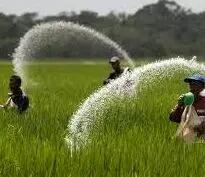 آمادگی خوزستان برای کشت پاییزه
