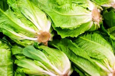 قیمت خیار و کاهو نجومی شد؛ ماجرا چیست؟