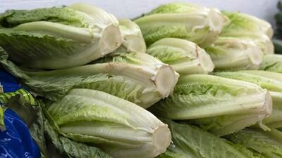 کاهو و خیار نجومی شدند