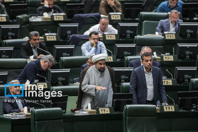 تذکرات نمایندگان: مجلس با تعطیلی پنجشنبه‌ها موافقت کند/ ضرورت کنترل قیمت‌ها در بازار