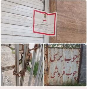 پلمب ۵ واحد متخلف چوب‌بری و دپوی چوب در آمل