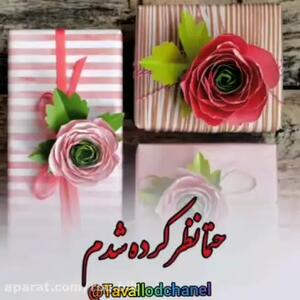 کلیپ تولدت مبارک | تبریک تولد مهر ماهی | آهنگ تولد