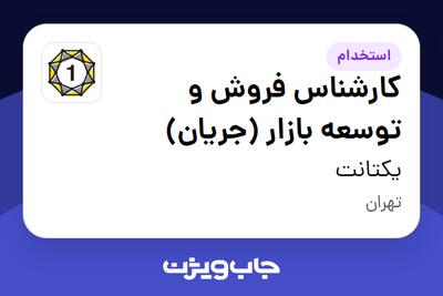 استخدام کارشناس فروش و توسعه بازار (جریان) در یکتانت