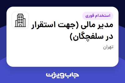 استخدام مدیر مالی (جهت استقرار در سلفچگان) - آقا در سازمانی فعال در حوزه تولیدی / صنعتی