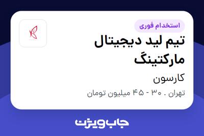 استخدام تیم لید دیجیتال مارکتینگ - خانم در کارسون