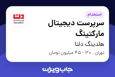 استخدام سرپرست دیجیتال مارکتینگ در هلدینگ دلتا
