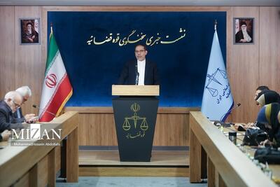 سخنگوی قوه قضاییه: گزارش بر مبنای دروغ گزارشگر ویژه سازمان ملل ارزش جواب دادن ندارد