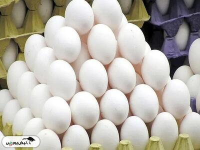 قیمت تخم مرغ سه شنبه ۸ مهر ۱۴۰۴