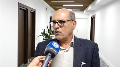 نجفی عرب: از مسیر «واردات بدون انتقال ارز» برای تامین مواد اولیه و ماشین‌آلات استفاده شود | پافشاری بر ذکر منشاء ارز توجیه ندارد