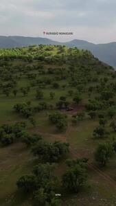 فیلم دیدنی طبیعت زیبای نورآباد