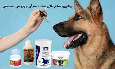 بهترین مکمل برای سگ کدام است؟ معرفی انواع مکمل و بررسی تخصصی