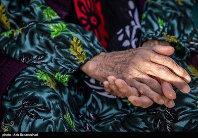 سایه فقر بر پیری/ 30 درصد سالمندان گلستانی تحت حمایت امداد هستند - تسنیم