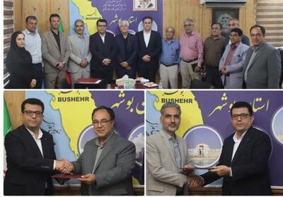 ‌تعاون ظرفیت نقش‌آفرینی در کنار دولت و بخش خصوصی را دارد - تسنیم