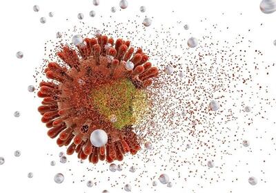 کدام سرطان با ویروس HPV مرتبط است