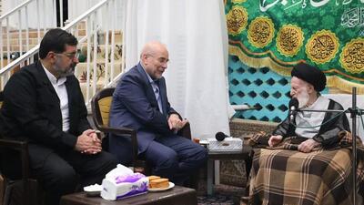 دیدار رئیس مجلس شورای اسلامی با آیت الله شبیری زنجانی