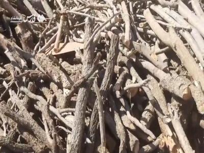 کشف ۷ تن چوب بلوط در کارگاه چوب‌بری کرمانشاه