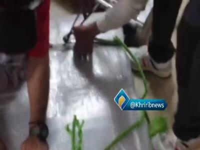 کشف ۳۰۲ دستگاه تلفن همراه قاچاق حین خروج در مرز دوغارون
