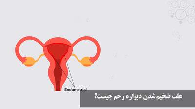 علت ضخیم شدن دیواره رحم چیست؟ برای کاهش ضخامت دیواره رحم چی بخوریم؟