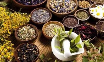 غذاهای تقویت‌کننده نیروی جنسی از نگاه طب سنتی