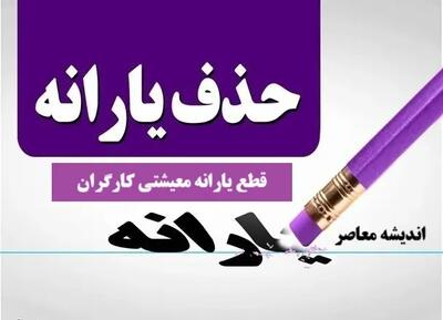 معیارهای جدید دولت برای حذف یارانه چیست؟ / یارانه این گروه ها نیز حذف می شود
