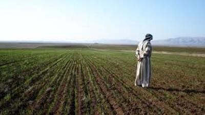 افزایش بهره‌وری کشاورزی با کود آهن، کود آمینواسید، کود سه بیست