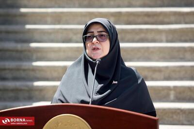 مهاجرانی: دستگاه دیپلماسی تمام تلاش خود را برای تعویق اسنپ بک انجام داد/ فشار لابی صهیونیست در تصمیم گیری اروپایی ها مشهود است