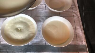 طرز تهیه ماست سفت قالبی برای مهمانی و مجالس